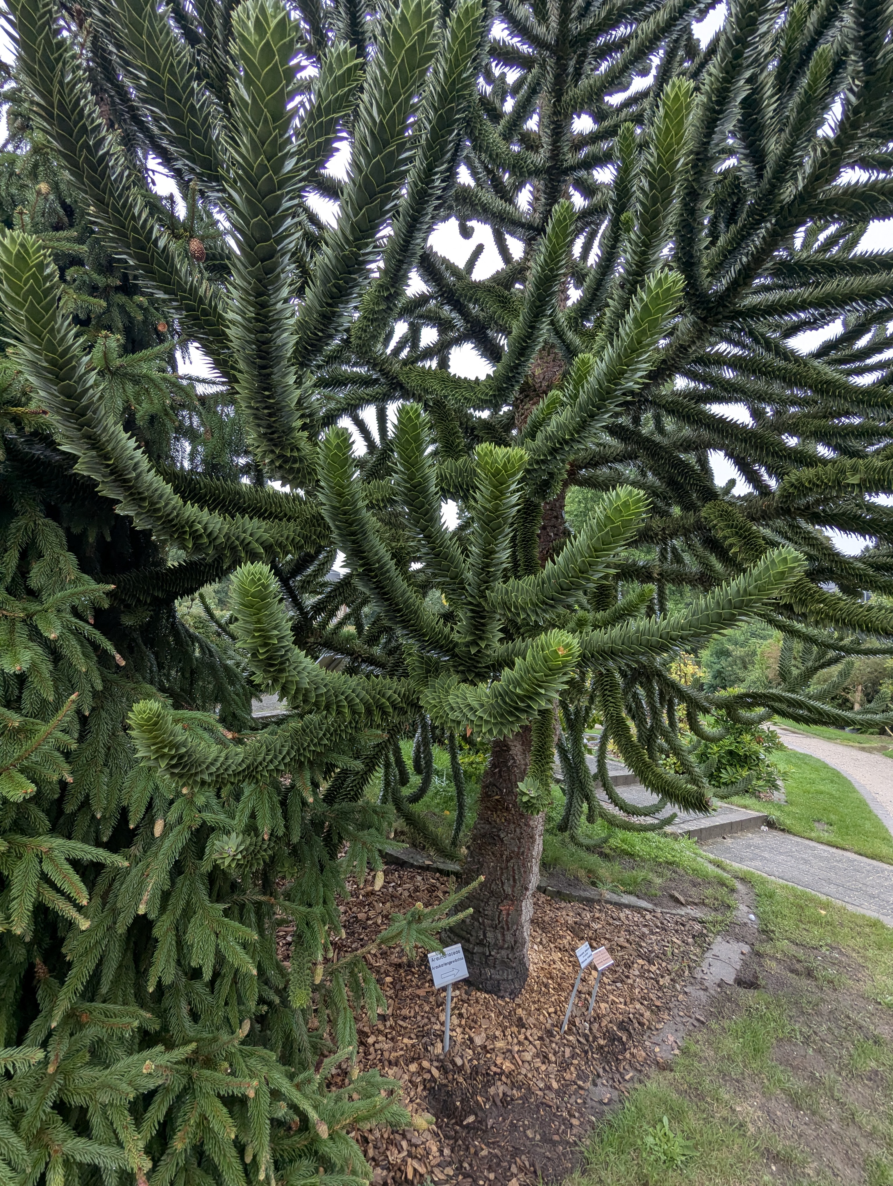 Botonic Gardens, Muenster, Germany